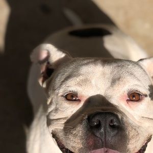 Meet your Posher, Jasmine